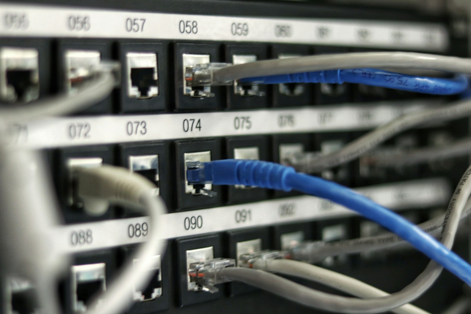 A terminated data cable — stock photograph