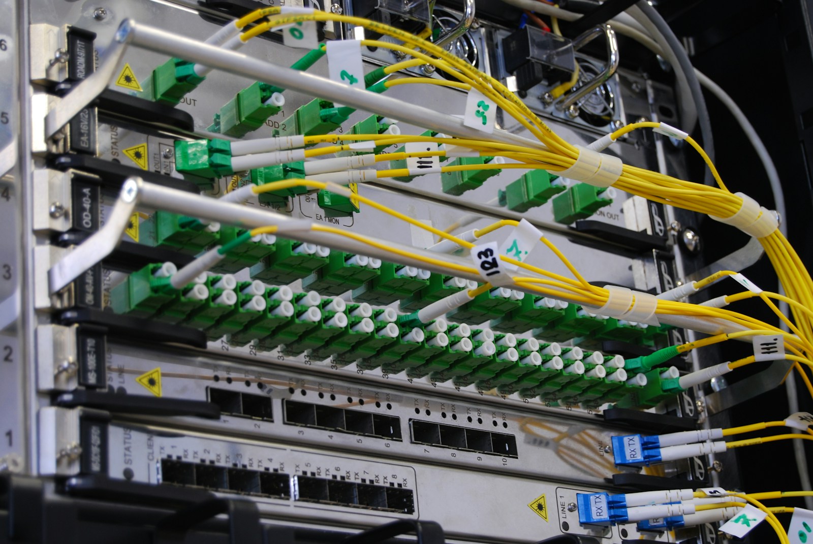 Fibre patch leads in a switch — stock photograph